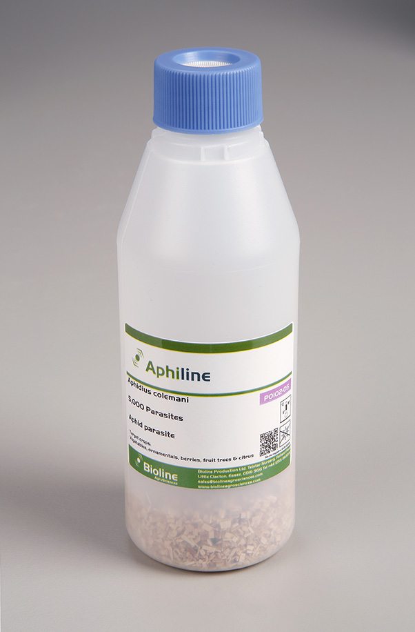 Aphiline 5000/250ml Bottle - Biological Control